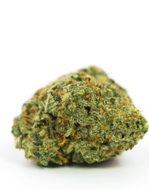 buy-weed-online-green-ganja-house-strain-Bay Eleven