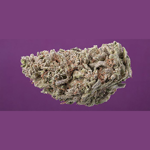 buy-pink-gas-cannabis-strain_buy-weed-online_on-green-ganja-house