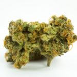 buy-Gorilla-Cookies-Marijuana-Strain-buy-weed-online-green-ganja-house