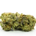 buy-Nebula-Kush-Marijuana-Strain-buy-weed-online-green-ganja-house