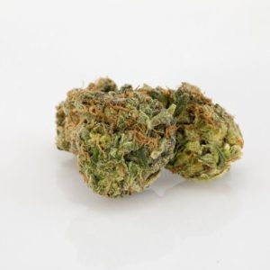 buy-White-Gold-Marijuana-buy-weed-online-green-ganja-house