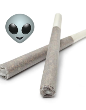buy-alien-og-Kush-pre-rolls-buy-weed-online_on-green-ganja-house