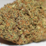 buy-cherry-pie-buy-weed-online-green-ganja-house-worldwide-marijuana-delivery