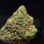 girl-scout-cookies-buy-weed-online-green-ganja-house-worldwide-marijuana-delivery
