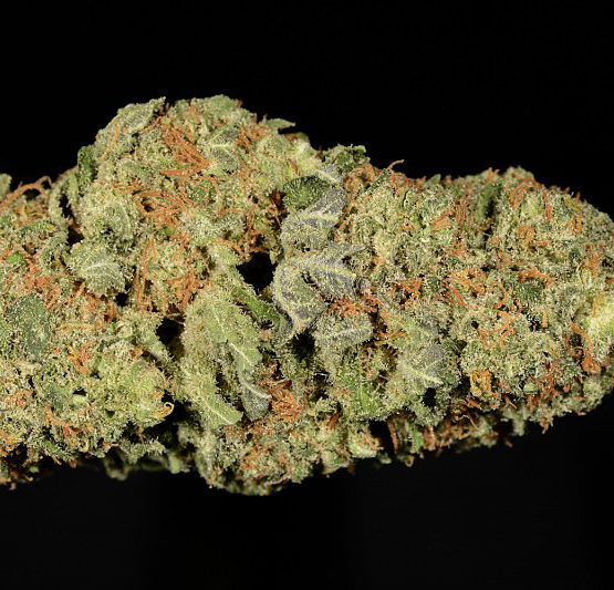buy-mobi-dick-buy-weed-online-green-ganja-house-worldwide-marijuana-delivery