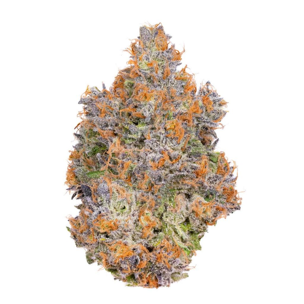 Buy Y2K Strain online at www.greenganjahome.com